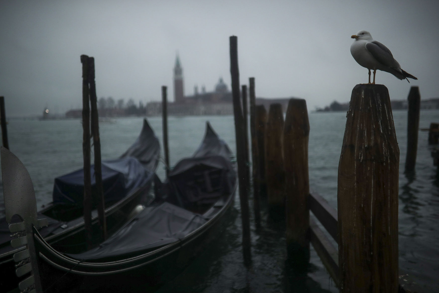Virus Outbreak Venice Photo Gallery